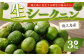 徳之島 天城町 徳之島産 生シークニン 3kg