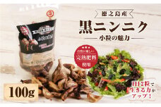徳之島産 黒にんにく 100g ニンニク 小粒の魅力 小粒 にんにく 薬味 完熟肥料 国産 BE-1-N