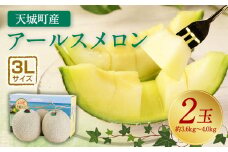 【2024年12月発送】徳之島 天城町産 農家直送 アールスメロン メロン マスクメロン 3L×2玉 AJ-26-N