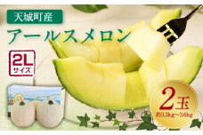 【2024年12月発送】徳之島 天城町産 農家直送 アールスメロン メロン マスクメロン 2L×2玉 AJ-25-N