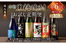 【年6回 定期便】 黒糖焼酎 お試し 定期便 2本(900ml/720ml)×6回 計10.44L 焼酎  AG-109
