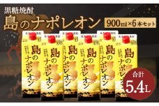 【鹿児島県天城町】 本格黒糖焼酎 島のナポレオン 900ml×6本セット 合計5.4L ( 紙パック ) 黒糖 焼酎 A-34-N
