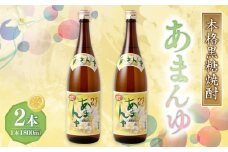 奄美大島にしかわ酒造 本格黒糖焼酎 あまんゆ 1800ml×2本 27度 瓶 一升瓶 黒糖焼酎 アルコール 送料無料 徳之島産 鹿児島県産 A-48-N