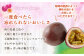 パッションフルーツ 家庭用1kg