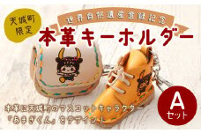 世界自然遺産登録記念 天城町限定 本革 キーホルダー Aセット マスコットキャラクター あまぎくん BG-1-N