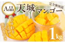 【2025年発送】【先行受付】徳之島 天城町産 完全無加温 完熟 マンゴー Ａ品 1kg 贈答 P-28-N