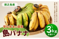 【鹿児島県天城町】【2025年発送】徳之島子宝バナナ 3kg 島バナナ バナナ  AL-10-N