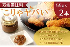 万能調味料 ”こりゃやばい” 2本 セット 55g×2本 ペースト 旨味 調味料 BK-1-N