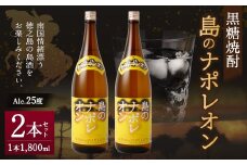 【鹿児島県 天城町】黒糖焼酎 島のナポレオン 1,800ml×2本セット 瓶 焼酎 A-54-N