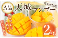 【2025年発送】徳之島 天城町産 完全無加温 完熟 マンゴー Ａ品 2kg 贈答