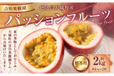  【2026年発送】先行受付 徳之島 天城町 吉川果樹園 パッションフルーツ 贈答用 2kg (1kg×2箱) トロピカルフルーツ フルーツ パッション AB-28-N