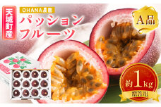 【2025年発送】先行受付 徳之島 天城町 パッションフルーツ1kg(贈答用) OHANA農園  フルーツ パッション BO-1-N