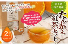 【徳之島産】 たんかん紅茶 2パックセット (4g×5包)×2パック タンカン 紅茶 ティーパックC-14-N