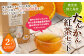 【徳之島産】 たんかん紅茶 2パックセット (4g×5包) 