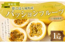 【2025年発送】徳之島 天城町産 【家庭用】吉川果樹園 イエローパッションフルーツ 約1kg（サイズ混合） パッションフルーツ 混合サイズ イエロー フルーツ 果物 AB-36-N