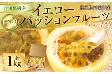 【2025年発送】徳之島 天城町産 【贈答用】イエローパッションフルーツ 約1kg 吉川果樹園  パッションフルーツ イエロー フルーツ 果物 AB-35-N