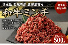 徳之島 天城町産 鹿児島育ち 鹿児島黒毛和牛ミンチ(500g)