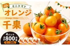 徳之島 天城町産 ミニトマト 800g(200g×4パック) オレンジ千果