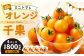 徳之島 天城町産 ミニトマト 800g(200g×4パック) オレンジ千果