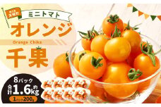 徳之島 天城町産 ミニトマト 1.6kg(200g×8パック) オレンジ千果