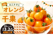 徳之島 天城町産 ミニトマト 3.2kg(200g×16パック) オレンジ千果