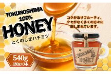 徳之島 天城町 HONEY ハチミツ 540g(180g×3本) 立淡雪せんだん草 ハニー はちみつ 蜂蜜 国産
