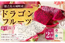 【先行受付】徳之島 天城町産 ドラゴンフルーツ 赤白混合 約2kg 家庭用 トロピカルフルーツ フルーツ 果物 果実 ピタヤ
