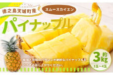徳之島 天城町産 パイナップル  約3kg（3玉～4玉） パイン 果物 フルーツ 果実