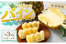 【2025年発送】天城町産 林果樹園 パイン3kg（2玉～3玉） パイン パイナップル フルーツ 果物 くだもの 南国 徳之島 天城町産