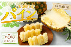 【2025年発送】天城町産 林果樹園 パイン5kg（3玉～4玉） パイン パイナップル フルーツ 果物 くだもの 南国 徳之島 天城町産