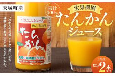 天城町産 果汁100％ 宝果樹園 タンカンジュース 2本セット （720ml×2本） 合計約1.4L タンカン 果汁飲料