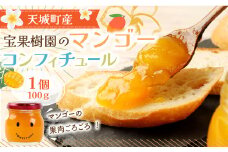【天城町産】 宝果樹園 マンゴー コンフィチュール 1個 （100g） ジャム 瓶