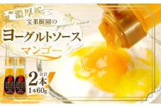 徳之島 天城町 宝果樹園 濃厚 ヨーグルト ソース マンゴー2本セット 60g×2本 合計120g フルーツソース 果汁