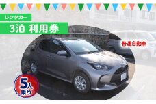 鹿児島県 徳之島 天城町 レンタカー 3泊 利用券 普通自動車 5人乗り ビジネス 旅行 チケット