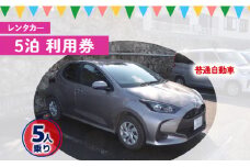 鹿児島県 徳之島 天城町 レンタカー 5泊 利用券 普通自動車 5人乗り ビジネス 旅行 チケット