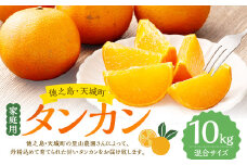 徳之島 天城町 里山農園 家庭用 タンカン 10kg 果物 フルーツ 柑橘 甘い ご家庭用 国産 鹿児島県 冷凍