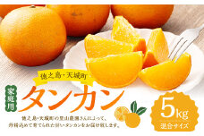 徳之島 天城町 里山農園 家庭用 タンカン 5kg 果物 フルーツ 柑橘 甘い ご家庭用 国産 鹿児島県 冷凍
