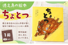 徳之島の絵本 「ちょとつ」 絵本 えほん 本 ほん 幼児 子供 子ども こども 読み聞かせ 鹿児島県 天城町