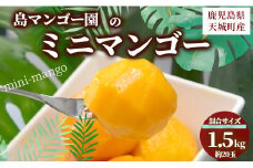 【数量限定】【ご家庭用】徳之島 天城町産 島マンゴー園 ミニマンゴー 1.5kg マンゴー フルーツ BA-5