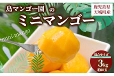 【数量限定】【ご家庭用】徳之島 天城町産 島マンゴー園 ミニマンゴー 3kg マンゴー フルーツ BA-6