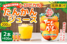 天城町産 生搾り完熟果汁100％ 宝果樹園 ミニタンカンジュース 2本セット（200ml×2本） 合計約400ml タンカン 果汁飲料 たんかん 果汁100％ ジュース 飲み物 ドリンク 果物 くだもの セット 九州 鹿児島県 天城町 常温
