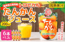 天城町産  生搾り完熟果汁100％ 宝果樹園 ミニタンカンジュース 6本セット（200ml×6本） 合計約1.2L タンカン 果汁飲料 たんかん 果汁100％ ジュース 飲み物 ドリンク 果物 くだもの セット 九州 鹿児島県 天城町 常温