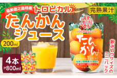 天城町産  生搾り完熟果汁100％ 宝果樹園 ミニタンカンジュース 4本セット（200ml×4本） 合計約800ml タンカン 果汁飲料 たんかん 果汁100％ ジュース 飲み物 ドリンク 果物 くだもの セット 九州 鹿児島県 天城町 常温
