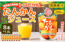 天城町産  生搾り完熟果汁100％ 宝果樹園 ミニタンカンジュース 8本セット（200ml×8本） 合計約1.6L タンカン 果汁飲料 たんかん 果汁100％ ジュース 飲み物 ドリンク 果物 くだもの セット 九州 鹿児島県 天城町 常温