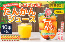 天城町産  生搾り完熟果汁100％ 宝果樹園 ミニタンカンジュース 10本セット（200ml×10本） 合計約2.0L タンカン 果汁飲料 たんかん 果汁100％ ジュース 飲み物 ドリンク 果物 くだもの セット 九州 鹿児島県 天城町 常温