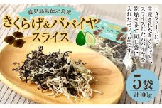 鹿児島県 徳之島産 天城町 きくらげ&パパイヤスライス 計100g（20g×5個） 国産 スライス 乾燥きくらげ キクラゲ パパイヤ 青パパイヤ