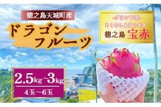 【2025年発送】天城町産 徳之島宝赤 プレミアム ドラゴンフルーツ  赤玉 2.5～3kg(4玉～6玉) トロピカルフルーツ フルーツ 果物 果実 ピタヤ