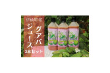 グァバ生ジュース　3本セット【1407854】