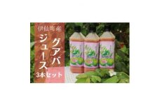 グァバ生ジュース　3本セット【1407854】