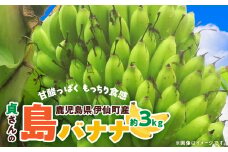 貞さんの島バナナ約3kg【1404057】